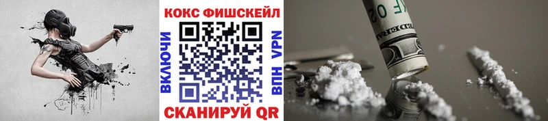 закладка  Каменск-Шахтинский  Кокаин Fish Scale 