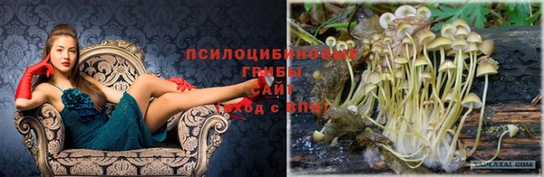 мескалин Белоозёрский