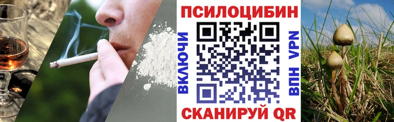 Галлюциногенные грибы Cubensis  Каменск-Шахтинский 